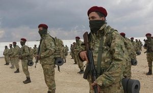 Bordo Bereli Olma Şartları Nelerdir?